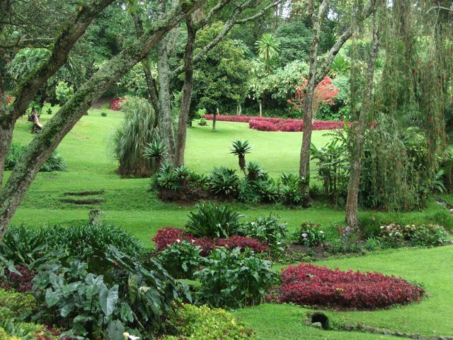 Tropical Gardens in the Nanid Hills. A great getaway not far from Kisumu Tropical Gardens in the Nanid Hills. A great getaway not far from Kisumu