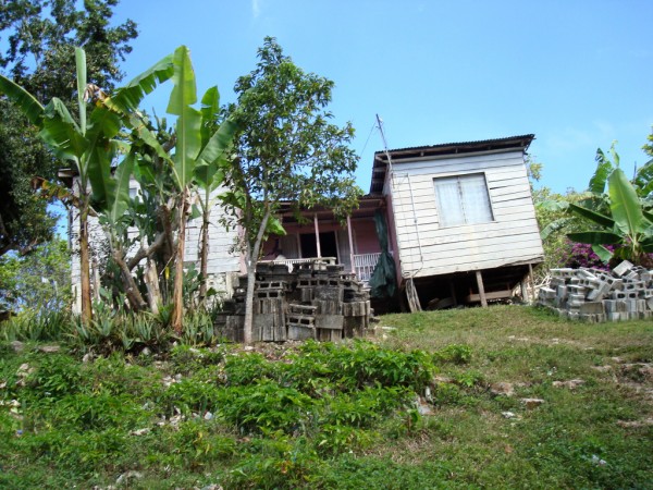 Local House Local House